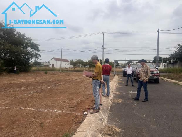 🌟 Đất Thổ Cư Đông Hoà – Giá Sốc Chỉ 900 Triệu, Sổ Riêng! - 4