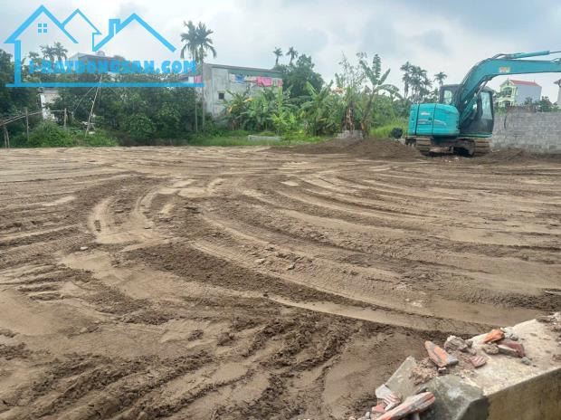 Bán đất Chương Dương – Thường Tín – Hà Nội, ô tô vào đất, giá chỉ 28 triệu/m² - 1