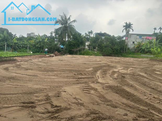 Bán đất Chương Dương – Thường Tín – Hà Nội, ô tô vào đất, giá chỉ 28 triệu/m² - 2