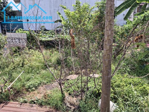 Giảm 250tr! Đất MT 255m², Đ.4m – Thạnh Xuân 23 Q12 ⭐ - 3