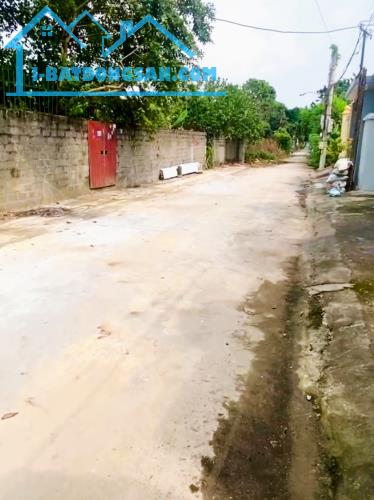 Bán F0 đất nghề Chuyên Mỹ 2 mặt đường 5-6m thông,gần trường học các cấp,Full tiện ích - 3