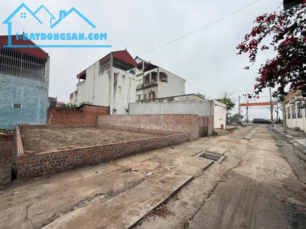 Chủ cần bán gấp 100m2 ngay đường Lê Hữu Tựu - Nguyên Khê, đường thông 6m. Lh 0981568317 - 3