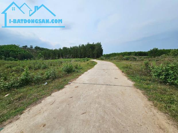 Bán đất vườn Khánh Đông giáp suối Khao gần Tỉnh Lộ 8 - 3