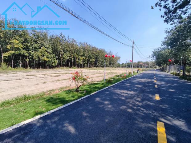 BẾN CÁT 3.6TR/M2 THỔ CƯ FULL - 4
