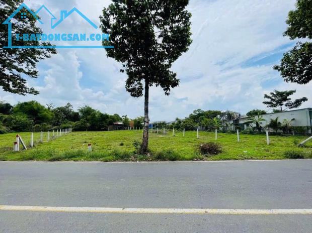 HÀNG HIẾM GIÁ TỐT - BÁN NGAY LÔ ĐẤT MT ĐƯỜNG 177M2 PHƯỚC THẠNH, SHR 620TR - 1