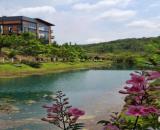 Lô đất nghỉ dưỡng, nhiều tiện ích tại Khúc Thừa Dụ, Lộc Tân, Bảo Lâm, Lâm Đồng, 799 triệu,