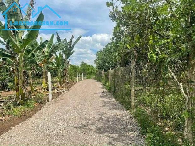 Lô Đất Củ Chi đắc địa cần đổi chủ, 80 m2, giá 1,8 tỷ - 1
