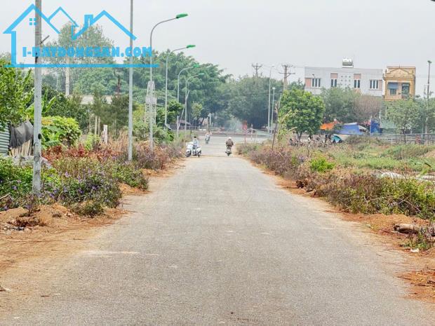 Bán đất Nam Hồng Đông Anh, Lô góc, 2 mặt thoáng, 57m2, 3,8 tỷ - 2