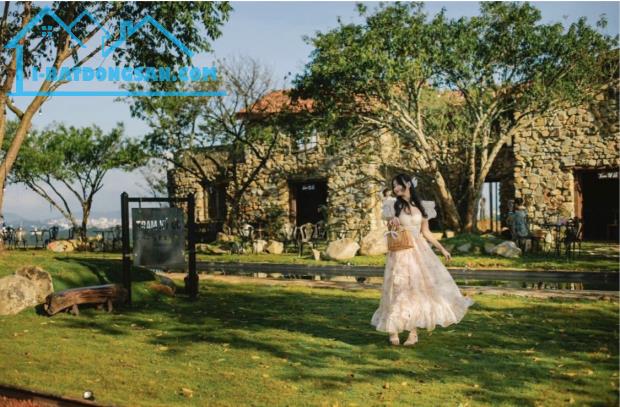 + Đất mặt tiền biển Nguyễn Tất Thành, khu bãi tắm trung tâm gần dự án khu phức hợp của vũ - 4