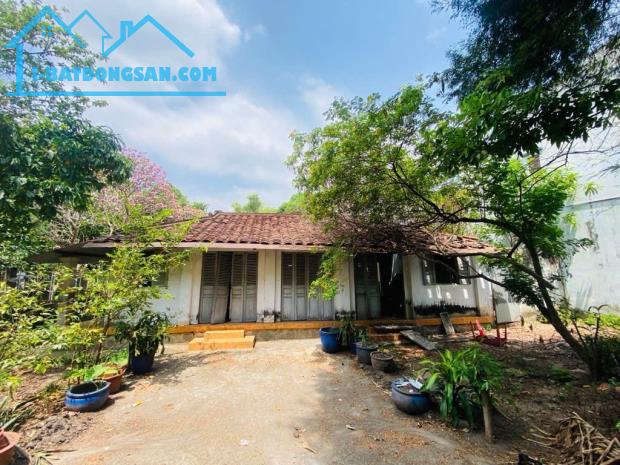 Hóc Môn bán đất full thổ cư diện tích rộng gần đường Nguyễn Ảnh Thủ phù hợp làm nhà vườn