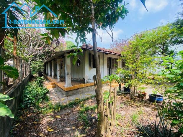 Hóc Môn bán đất full thổ cư diện tích rộng gần đường Nguyễn Ảnh Thủ phù hợp làm nhà vườn - 1