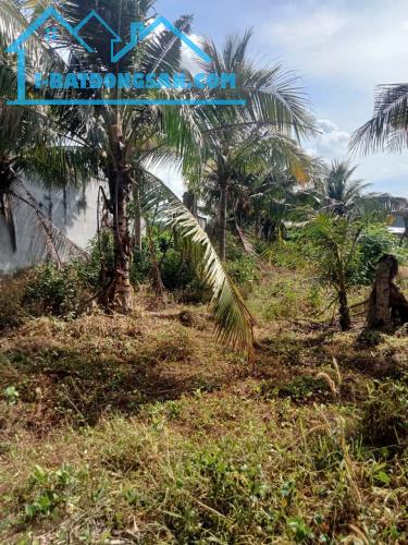 🏡 CẦN BÁN LÔ ĐẤT BIỆT THỰ 420m² TẠI XÃ TAM AN – LONG ĐẤT – BÀ RỊA VŨNG TÀU GIÁ CHỈ 1.65