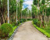 CHÍNH THỨC NHẬN BOOKING PHÂN KHU MỚI ECO RETREAT- CĂN HỘ NẤM NGAY GIỮ LÒNG ĐÔ THỊ XANH