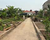 bán đất chính chủ đẹp tại Bắc hồng Đông Anh Hà Nội 40m2