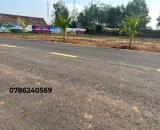 Đất nền mặt tiền Tân Định – Bến Cát, sổ riêng, giá mềm, đầu tư siêu lợi nhuận!