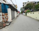 Bán đất Du Nội Mai Lâm Đông Anh Hà Nội , ngõ thông