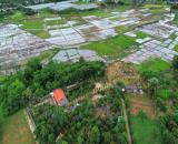 đất sào mát mẻ quanh năm view ruộng trung tâm Cư Suê khu dân cư đông đúc