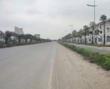 SỞ HỮU CHẮC THẮNG! SIÊU RẺ DỊCH VỤ 25,2HA #VÂNCANH- HOÀI ĐỨC vỉa hè, phân lô ô tô tránh