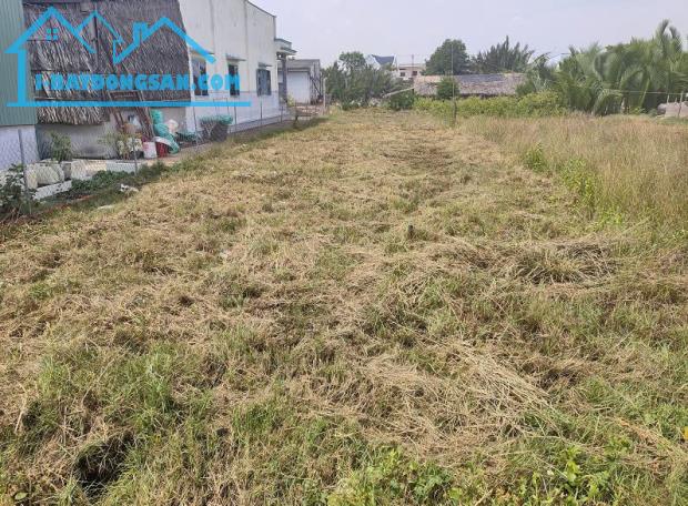 CHÍNH CHỦ CẦN BÁN 2 MIẾNG ĐẤT - 1