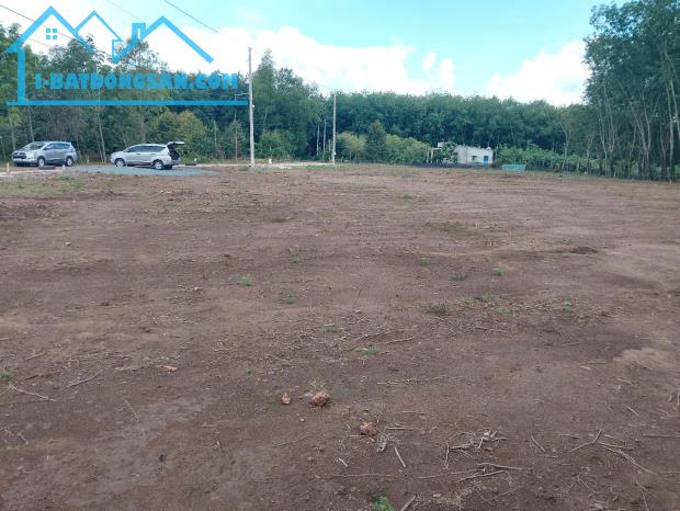 CẦN BÁN GẤP LÔ ĐẤT GIÁ TỐT TẠI TÂN QUAN - HỚN QUẢN - BÌNH PHƯỚC - 3