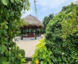 Bán nhà vườn 4800m2, gần đường Hồ Chí Minh, Xã An Ninh Đông, Đức Hòa, Long An. Giá 8.5 tỷ