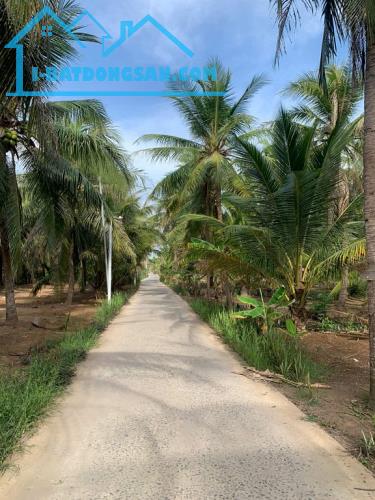 CHÍNH CHỦ CẦN BÁN ĐẤT TẠI - BẾN TRE