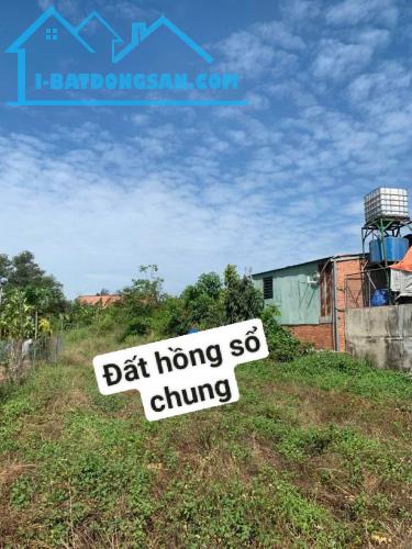 CHÍNH CHỦ CẦN BÁN ĐẤT TẠI TRẢNG BOM - 1