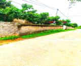 Bán Đất Trù Hựu,Phường Chũ Lục, Bắc Ninh, Gía Đầu Tư 800 triệu, 300m2 0982188151