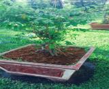 💢 Bán Đất Đường Lê Thị Ngay Vĩnh Lộc A 2500m2 giá 16,5 tỷ.