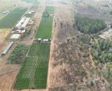 Bán đất gần Biển-Hàm Cường-Hàm Thuận Nam-Bình Thuận-DT 8,7Ha+10Ha