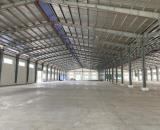 Cho Thuê 5.900m2 Nhà Xưởng Trong KCN TP Mới  Bình Dương PCCC Tự Động