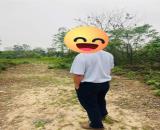 Bán đất Thường Tín, đường ô tô MT15m, DT nhỉnh 690m2, 8 triệu/m2.