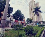 CẦN BÁN BIỆT THỰ TÂN TÂY ĐÔ 204M2 HƯỚNG ĐÔNG NAM (0915458886)