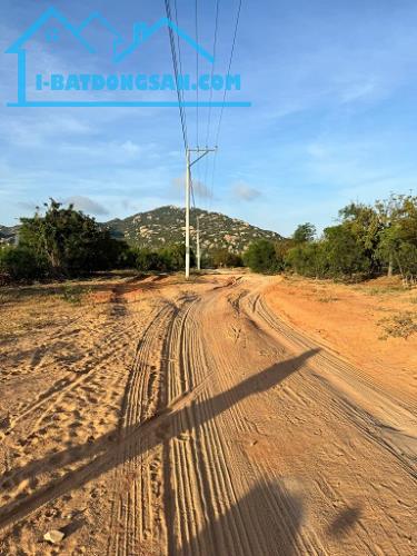 CHÍNH CHỦ CẦN BÁN LÔ ĐẤT ĐẸP TẠI NINH THUẬN - 2
