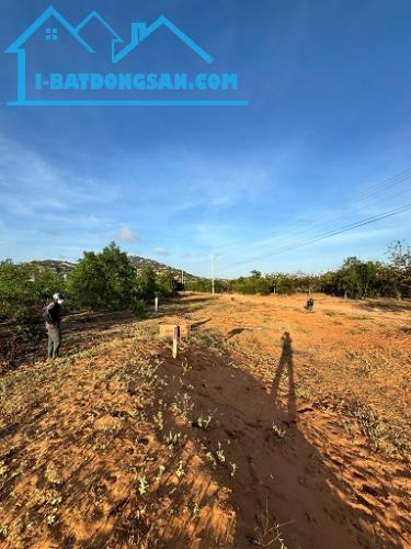 CHÍNH CHỦ CẦN BÁN LÔ ĐẤT ĐẸP TẠI NINH THUẬN - 4