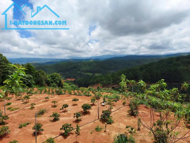 CƠ HỘI TỐT ĐỂ SỞ HƯU NGAY LÔ ĐẤT VỊ TRÍ ĐẸP- KHẢ NĂNG SINH LỜI CAO - 4