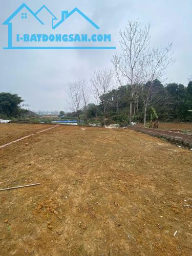 BÁN ĐẤT ĐÔNG YÊN - FULL THỔ CƯ - CÁCH DH09 50M - ĐẦU TƯ SINH LỜI 125M MT9M 2.9 TỶ - 1