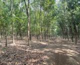Nhà Đất Tiến Hưng Đồng Xoài Bình Phước