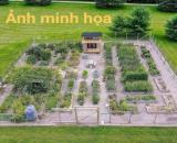 MUA MẢNH ĐẤT – ĐỂ DỪNG LẠI, THỞ MỘT CHÚT…