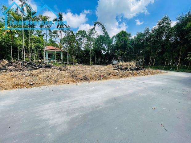 Đất Minh Mạng - Phường Thủy Xuân 1.5x tỷ - 4