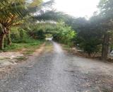 Kẹt Vốn Chính Chủ Bán Đất Vườn Sầu Riêng Thái Cây Đang Cho Thu Hoạch (4 năm) Tại Thị trấn