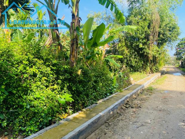 Đất Hương Toàn 550tr/lô - Ven sông mát mẻ - 3