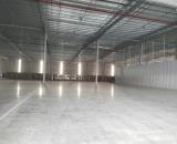 Cho thuê 6.000m2 kho thường và kho ngoại quan tại Khu CN Vân Trung – Bắc Giang