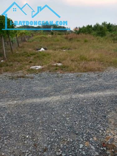 500m2 Đất Phường Tân Hạnh Cách Đường phạm Văn Diêu 1xẹt. 1Tỷ9