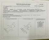 CHỦ NGỘP CẦN BÁN ĐẤT VƯỜN DỪA ĐANG RA TRÁI – XÃ TAM AN, LONG ĐIỀN CHỈ 1,5 TỶ