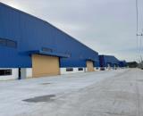 Bán 8.000m2 Nhà Xưởng Mới Đầu Tư Tại Tân Uyên Bình Dương