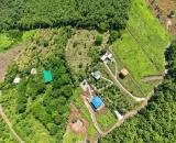 Chủ cần vốn đầu tư nên cần bán gấp lô đất vườn nghĩ dưỡng giá rẻ giáp suối chảy quanh năm