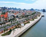 Bán Gấp Biệt thự mini cột 5 quỹ đất hiếm Hạ Long. Lh :0915069737