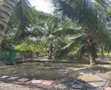 CHÍNH CHỦ CẦN BÁN LÔ ĐẤT TẠI PHƯỜNG LONG ĐỨC - TP. TRÀ VINH - TỈNH TRÀ VINH.