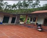 CHÍNH CHỦ CẦN BÁN 3,5HA ĐẤT TRANG TRẠI TẠI HỮU LŨNG – LẠNG SƠN